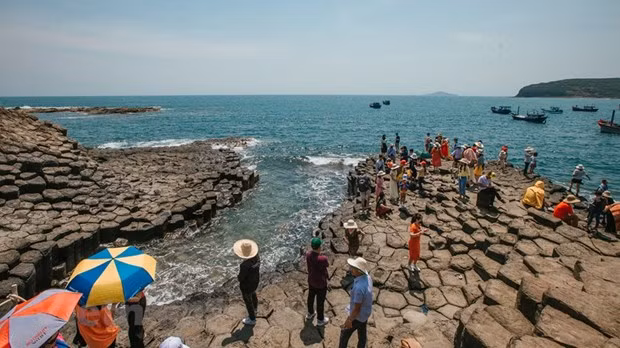 Gành Đá Đĩa, Phú Yên, hấp dẫn du khách. Ảnh: Minh Sơn/Vietnam+