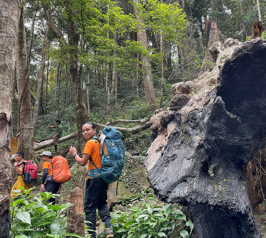 Đoàn du khách leo núi chinh phục đỉnh Kon Ka Kinh. Ảnh: Hoàng Ngọc
