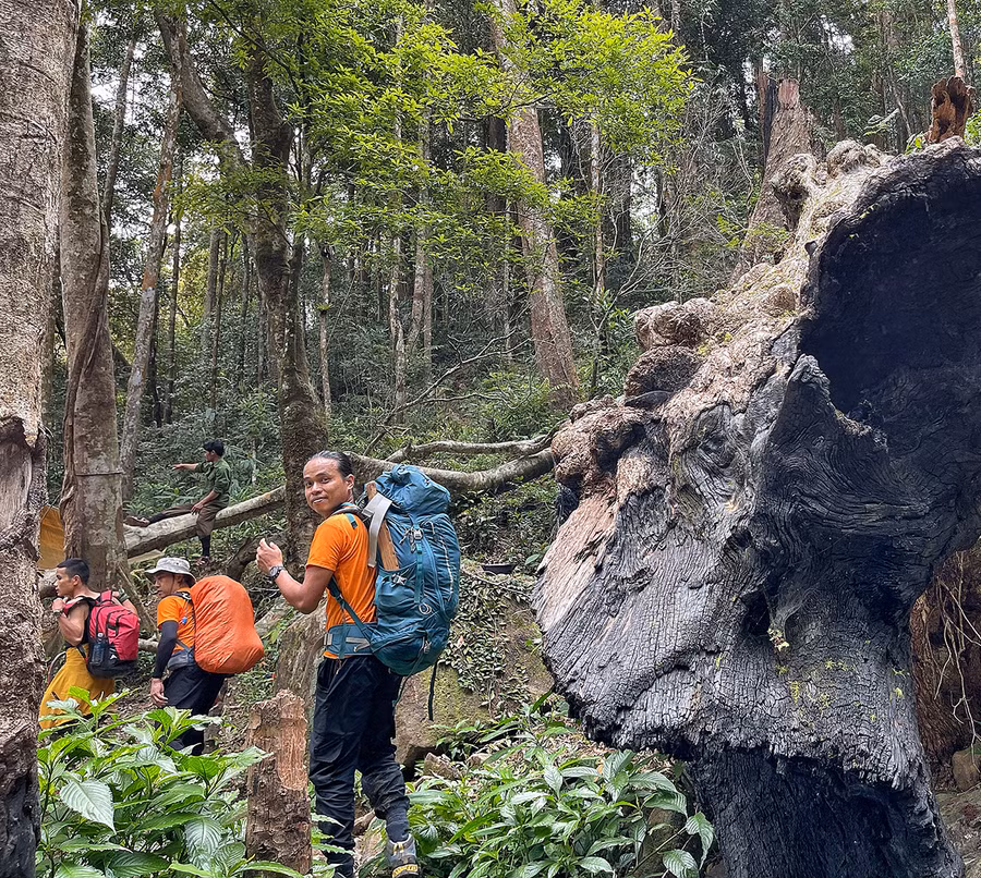 Đoàn du khách leo núi chinh phục đỉnh Kon Ka Kinh. Ảnh: Hoàng Ngọc