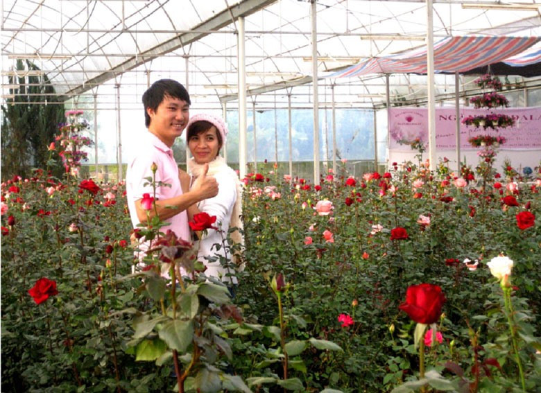 Du lịch canh nông ở Lâm Đồng. Ảnh: Dương Hồng