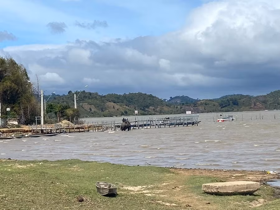 Khách du lịch cưỡi voi tại huyện Buôn Đôn trong dịp Tết Nguyên đán Nhâm dần 2022. Ảnh: Bảo Trung