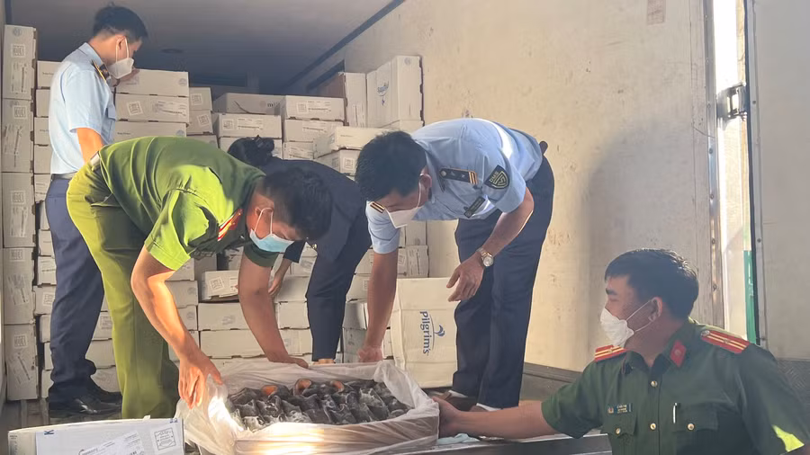 Đoàn công tác kiểm tra hàng đông lạnh chở trên xe tải về cơ sở đông lạnh. Ảnh: Quỳnh Anh