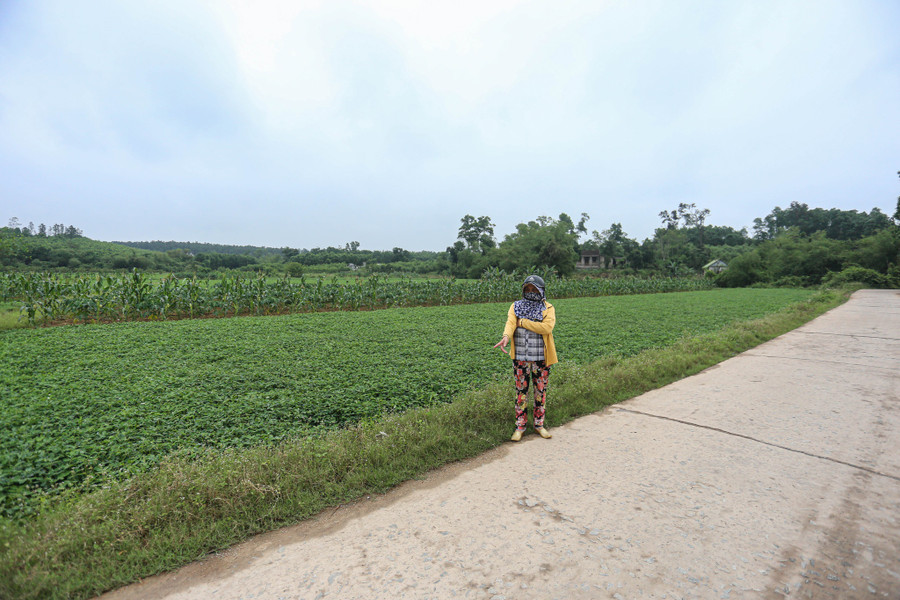 Khu vực nơi em N. bị bạn chặn đánh. Ảnh: Lê Hoài Nhân