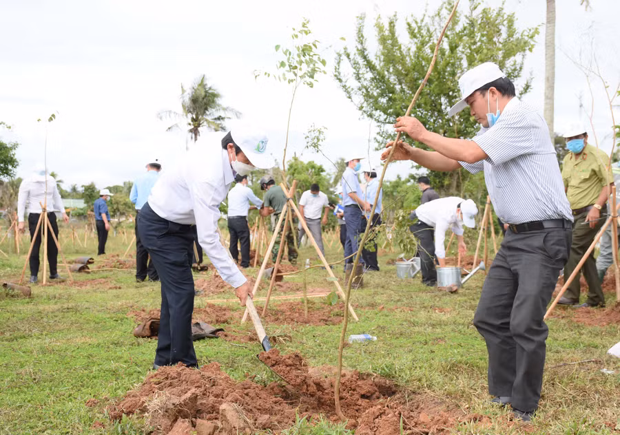 Trồng cây phân tán trên địa bàn thị xã An Khê. Ảnh: Minh Nguyễn