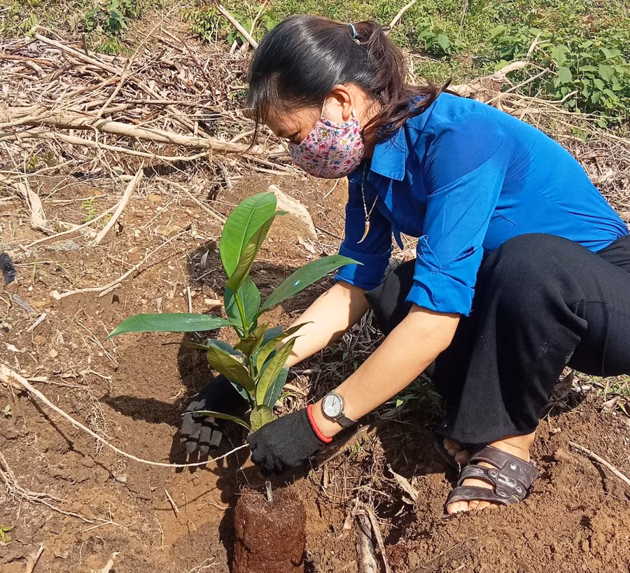 Chị Lê Thị Thương tham gia trồng cây xanh trên địa bàn xã. Ảnh: C.X