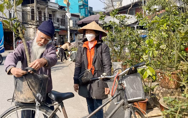 Người bán chu đáo, tận tình, chợ cây cảnh luôn thu hút khách mua. 