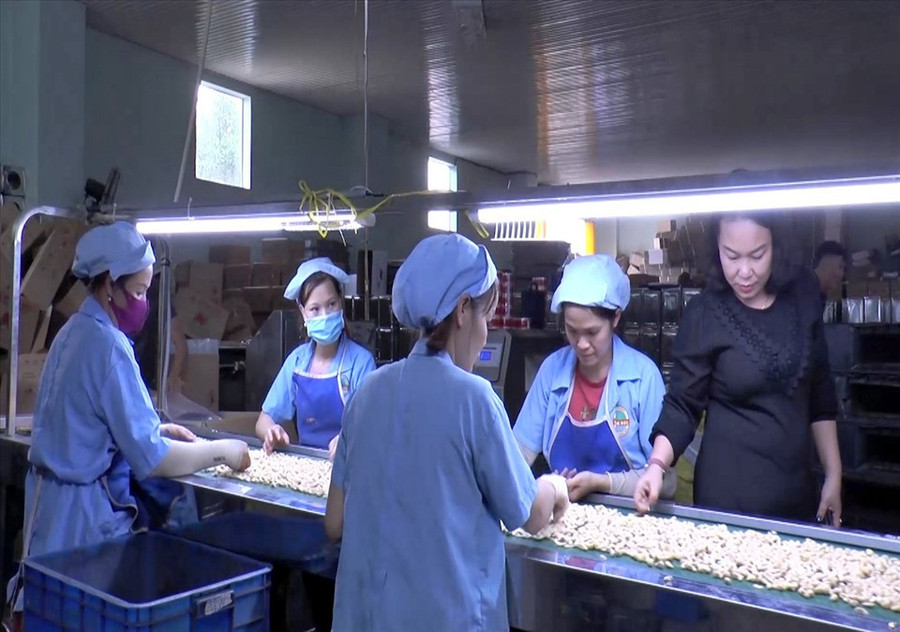 Nhà máy sản xuất hạt điều nhân xuất khẩu Hồng Đức. Ảnh: Phan Tuấn