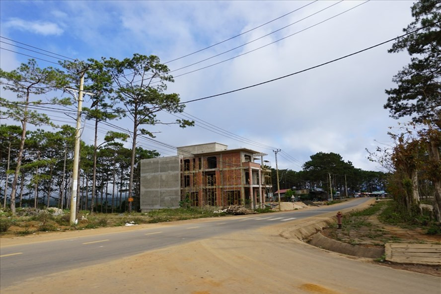 Thanh tra sẽ làm rõ dự án biệt thư xây dựng trên phần đất được cho là đất lâm nghiệp, chưa chuyển đổi. Ảnh: T.T Thanh tra sẽ làm rõ dự án biệt thư xây dựng trên phần đất được cho là đất lâm nghiệp, chưa chuyển đổi. Ảnh T.T