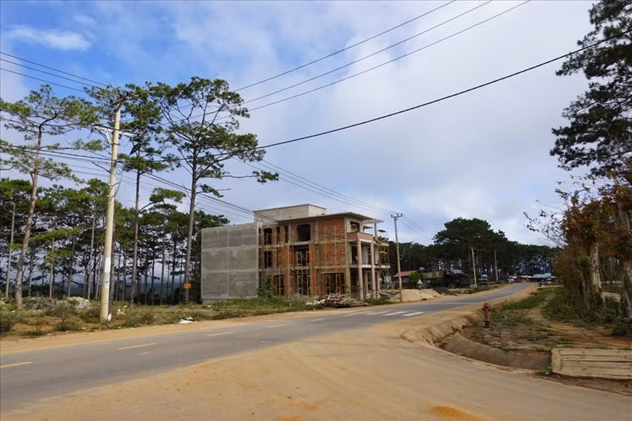 Thanh tra sẽ làm rõ dự án biệt thư xây dựng trên phần đất được cho là đất lâm nghiệp, chưa chuyển đổi. Ảnh T.T