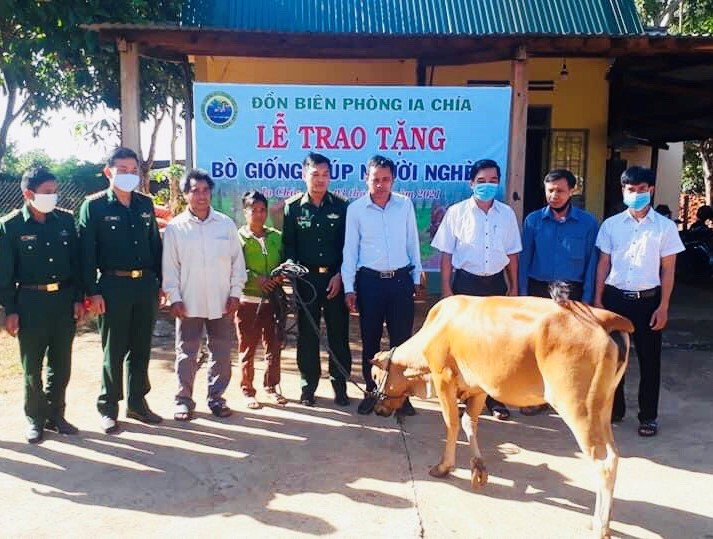 Đơn vị hỗ trợ bò giống cho gia đình ông Toan. Ảnh: Anh Huy