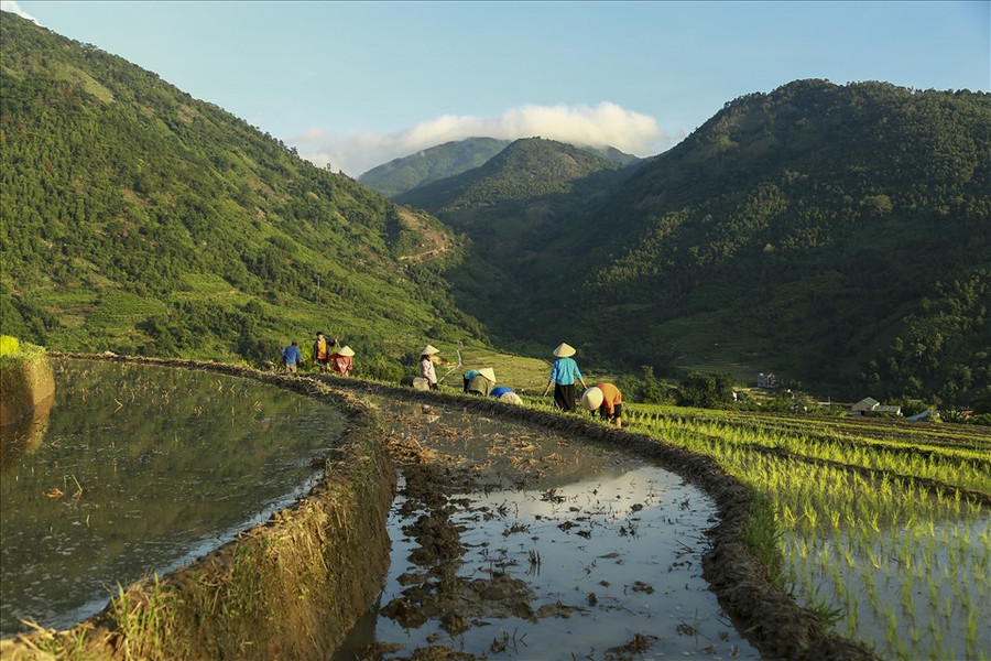 Đến đây vào dịp mùa nước đổ, chúng ta còn được gặp gỡ, được hòa mình vào không khí lao động hăng say của người dân vùng cao, được tìm hiểu về cách làm để tạo nên những thửa ruộng bậc thang. Tận mắt chứng kiến những người đàn ông dắt trâu đi cày hay sử dụng những chiếc máy cày mini xới đất tạo phù sa, hay những người phụ nữ trong trang phục dân tộc làm cỏ, đắp bờ, gánh mạ, cấy lúa… Đến đây vào dịp mùa nước đổ, chúng ta còn được gặp gỡ, được hòa mình vào không khí lao động hăng say của người dân vùng cao, được tìm hiểu về cách làm để tạo nên những thửa ruộng bậc thang. Tận mắt chứng kiến những người đàn ông dắt trâu đi cày hay sử dụng những chiếc máy cày mini xới đất tạo phù sa, hay những người phụ nữ trong trang phục dân tộc làm cỏ, đắp bờ, gánh mạ, cấy lúa…