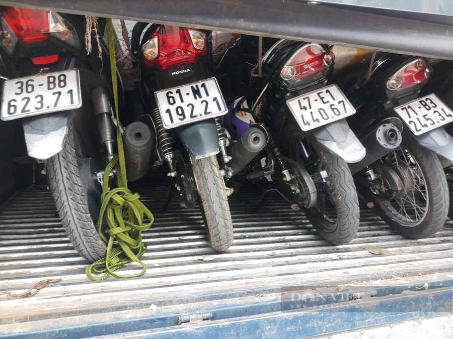 Những chiếc xe máy bị mất cắp tại địa bàn TX. Tân Uyên (tỉnh Bình Dương) và huyện Bình Chánh (TP.HCM). Ảnh: V.D