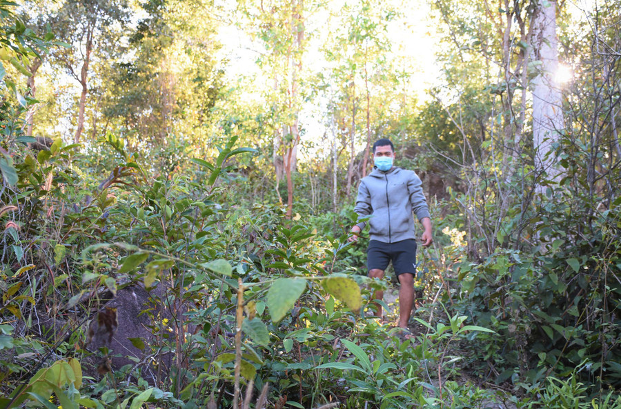 15 hộ thuộc cộng đồng dân cư làng Yar (xã Chư Đăng Ya, huyện Chư Păh) được giao hơn 208,9 ha rừng để quản lý, bảo vệ, cải thiện thu nhập. Ảnh: Minh Nguyễn