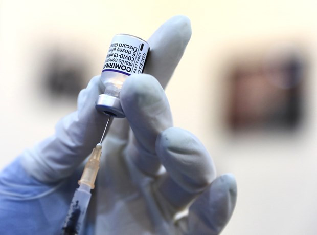 Vaccine Pfizer. (Ảnh: Hoàng Hiếu/TTXVN)