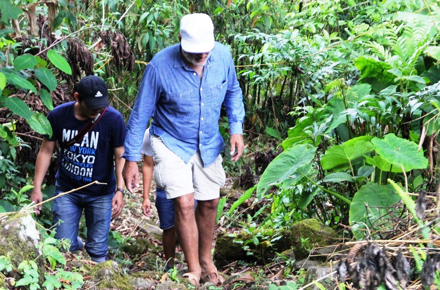 Một du khách người nước ngoài tham quan vườn sâm của H.Nam Trà My Một du khách người nước ngoài tham quan vườn sâm của H.Nam Trà My