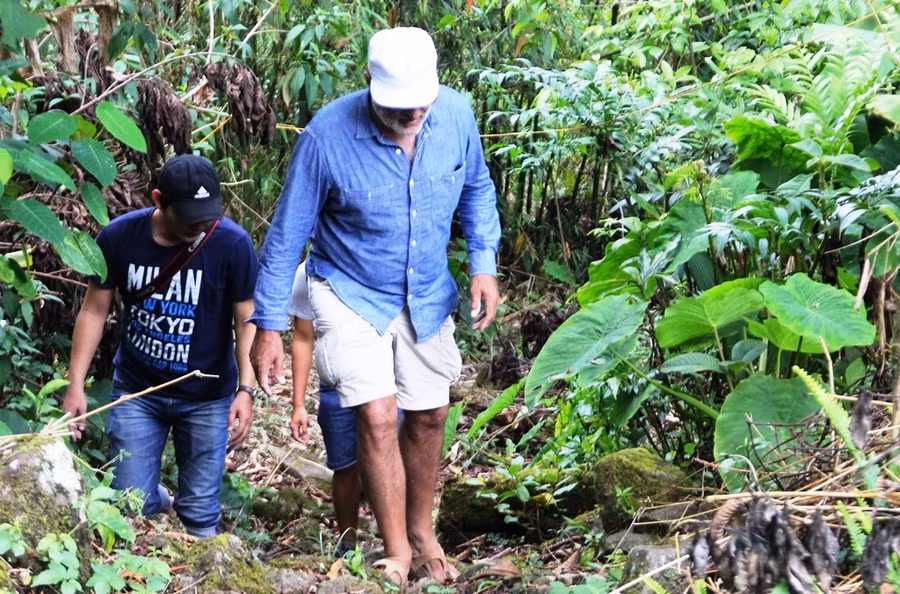 Một du khách người nước ngoài tham quan vườn sâm của H.Nam Trà My