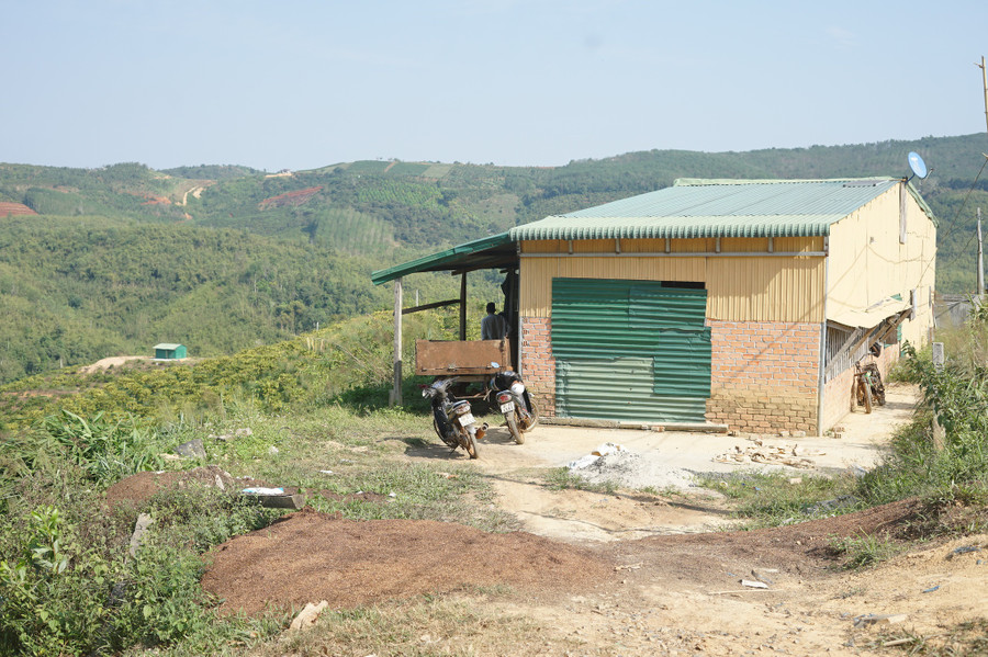 Hiện có nhiều hộ dân đã dựng nhà và trồng cây lâu năm trên khu đất cấp sai cho ông Nguyễn Thanh Sơn. Ảnh: Thanh Quân Hiện có nhiều hộ dân đã dựng nhà và trồng cây lâu năm trên khu đất cấp sai cho ông Nguyễn Thanh Sơn. Ảnh: Thanh Quân