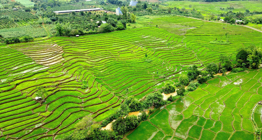 Giá phân bón, vật tư nông nghiệp tăng cao đã ảnh hưởng không nhỏ đến sản xuất của người dân. Ảnh: Quang Tấn