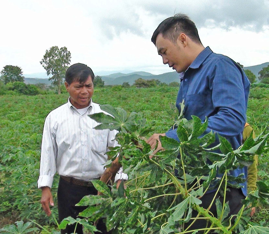 Ảnh: Trần Đăng Lâm 