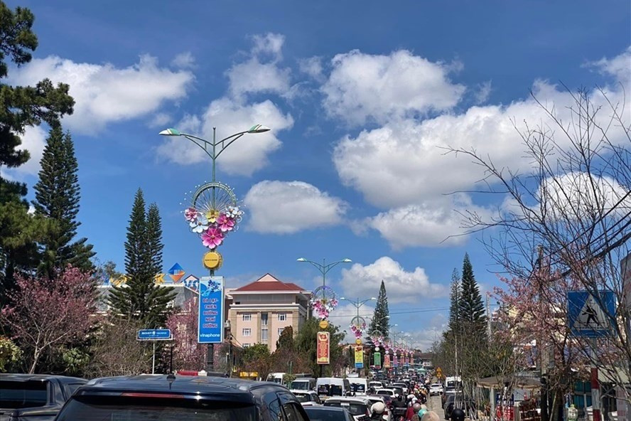 Du khách đến Đà Lạt cần kiểm tra thông tin trước khi đặt phòng theo hình thức online.