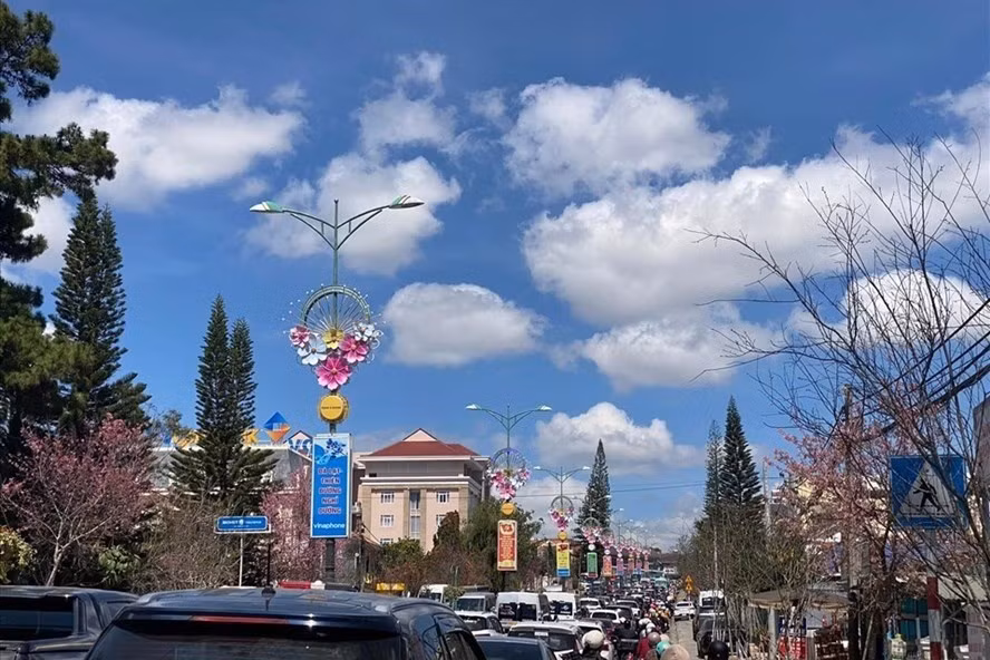 Du khách đến Đà Lạt cần kiểm tra thông tin trước khi đặt phòng theo hình thức online.