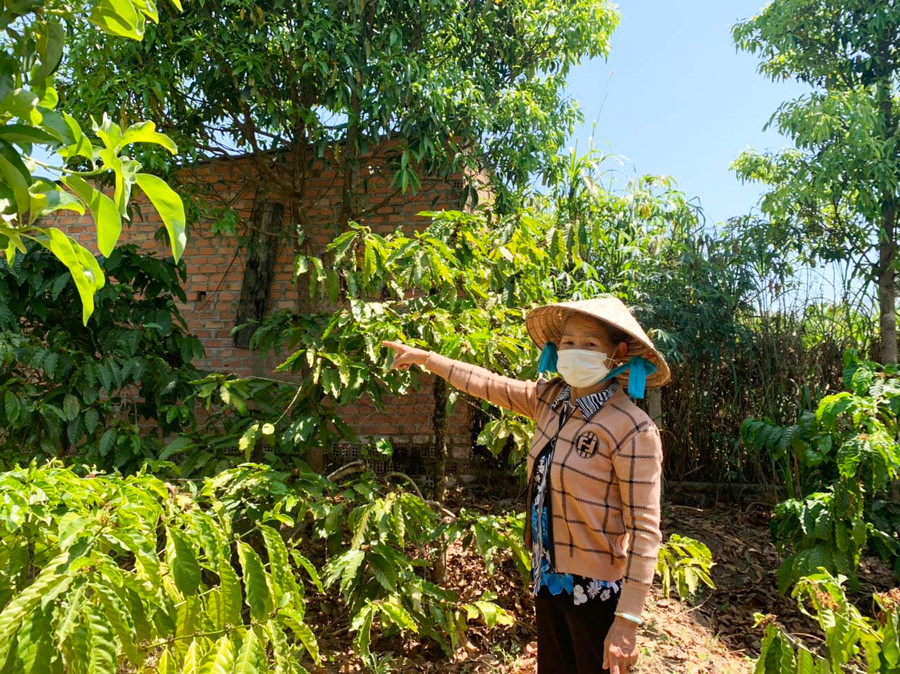 Người dân phản ánh về khu vực chăn nuôi heo của ông Huỳnh Anh Tân gây mùi hôi, ảnh hưởng tới cuộc sống sinh hoạt hàng ngày. Ảnh: Nhật Hào