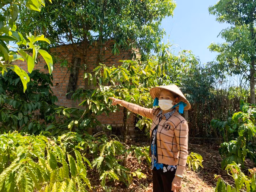 Người dân phản ánh về khu vực chăn nuôi heo của ông Huỳnh Anh Tân gây mùi hôi, ảnh hưởng tới cuộc sống sinh hoạt hàng ngày. Ảnh: Nhật Hào