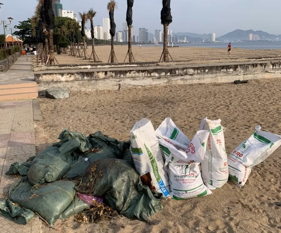  Khoảng 4 tấn dầu đen vón cục đã được trụt vớt.