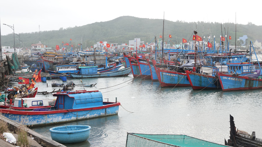 Bến cảng buồn tênh, vắng các hoạt động ra khơi vào sáng sớm. Ảnh: Phạm Anh