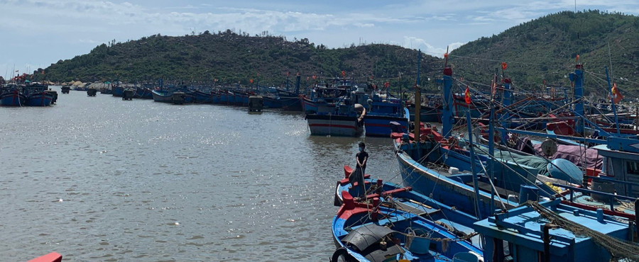 Cả trăm tàu cá xếp hàng dài trên cảng Sa Huỳnh. Ảnh: Phạm Anh