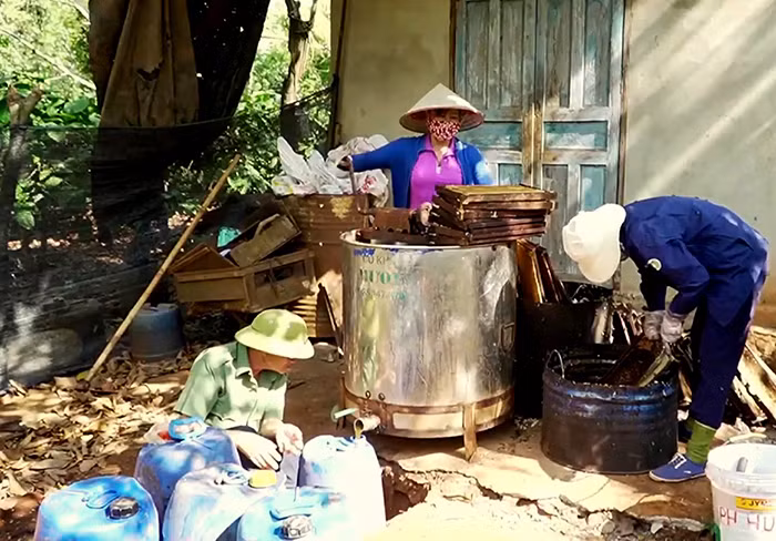 Quay mật ngay tại vườn.