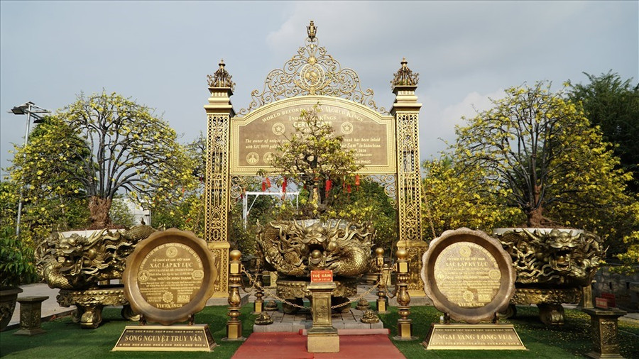 Ngoài sở hữu cho mình cây sộp trên, anh còn sở hữu cho mình nhiều loại cây cũng đã được xác lập kỷ lục trong nước và quốc tế.