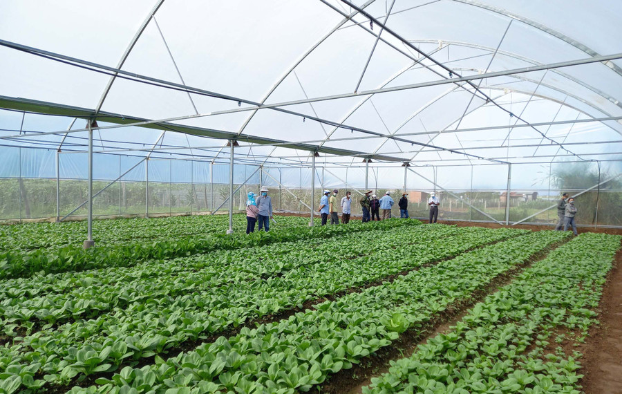 Quang cảnh buổi hội thảo đầu bờ. Ảnh: Lan Anh