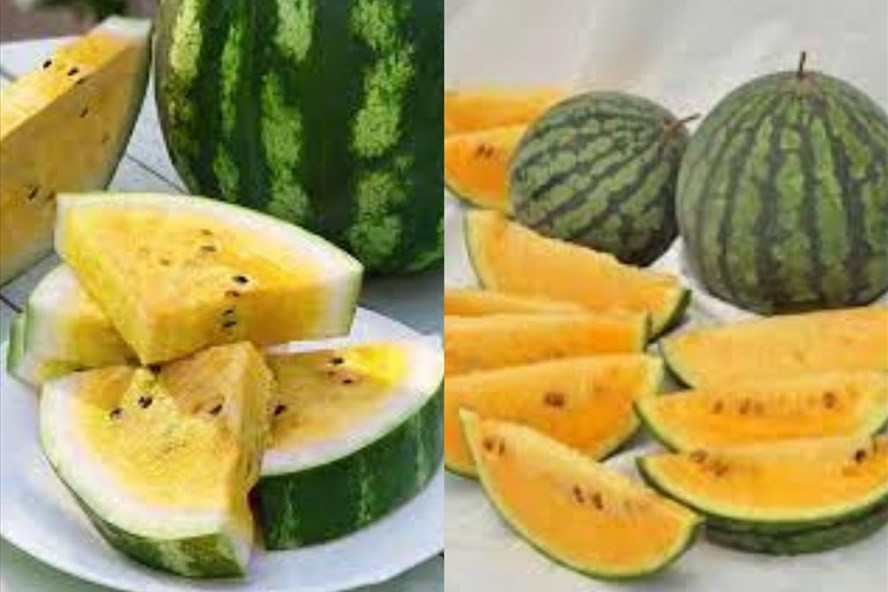 Dưa hấu vàng có nhiều lợi ích đối với sức khỏe tim mạch, đường ruột. Đồ họa: Thanh Ngọc
