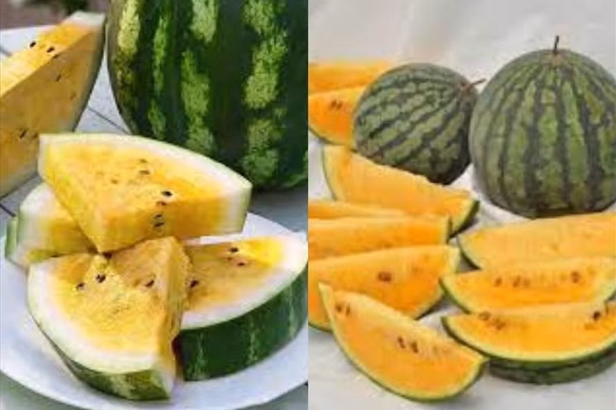 Dưa hấu vàng có nhiều lợi ích đối với sức khỏe tim mạch, đường ruột. Đồ họa: Thanh Ngọc