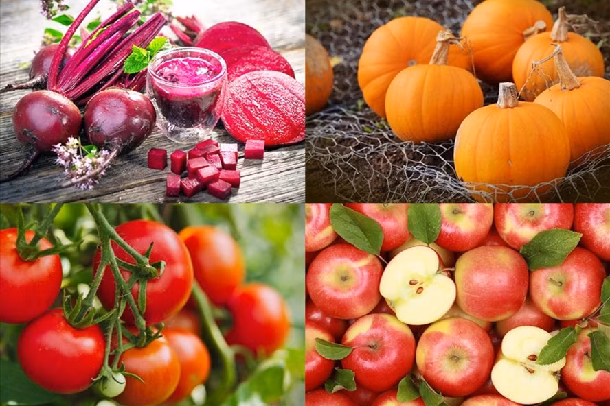 Những loại thực phẩm tốt cho sức khoẻ của phổi. Ảnh: TL