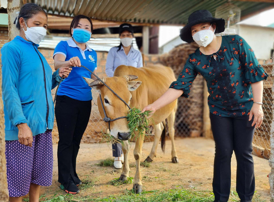 Chủ tịch Hội LHPN phường Chi Lăng Trần Thị Sen (thứ 2 từ trái qua) trao tặng bò giống cho hội viên phụ nữ nghèo. Ảnh: Kỳ Anh