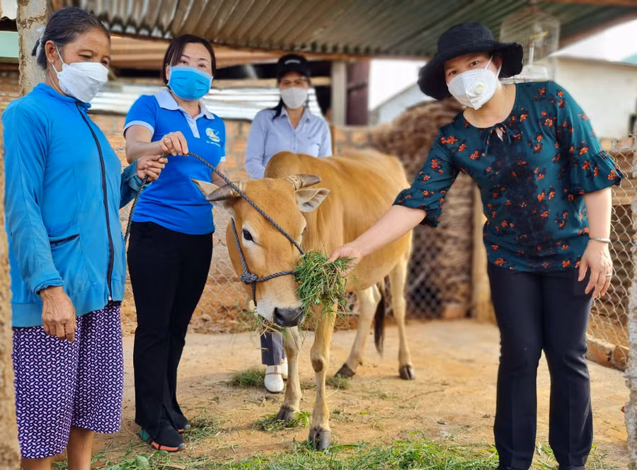 Chủ tịch Hội LHPN phường Chi Lăng Trần Thị Sen (thứ 2 từ trái qua) trao tặng bò giống cho hội viên phụ nữ nghèo. Ảnh: Kỳ Anh