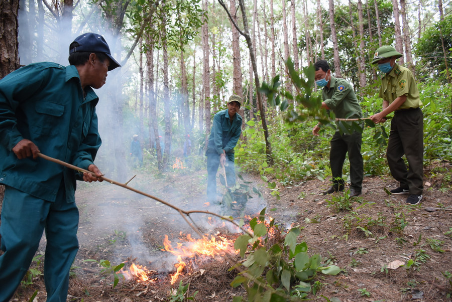 Về lâu dài phải có định hướng cải thiện thu nhập, ổn định đời sống cho lực lượng này, có như vậy mới đảm bảo được nhân lực bảo vệ rừng. Ảnh: Minh Nguyễn