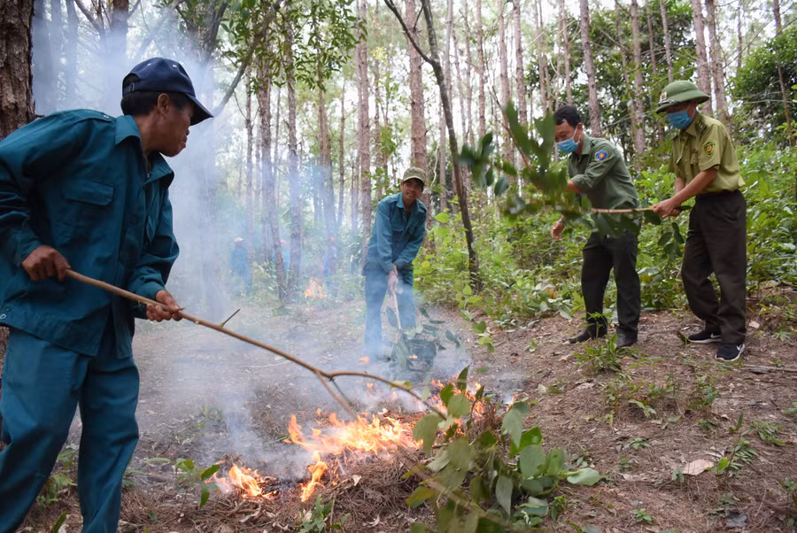 Về lâu dài phải có định hướng cải thiện thu nhập, ổn định đời sống cho lực lượng này, có như vậy mới đảm bảo được nhân lực bảo vệ rừng. Ảnh: Minh Nguyễn