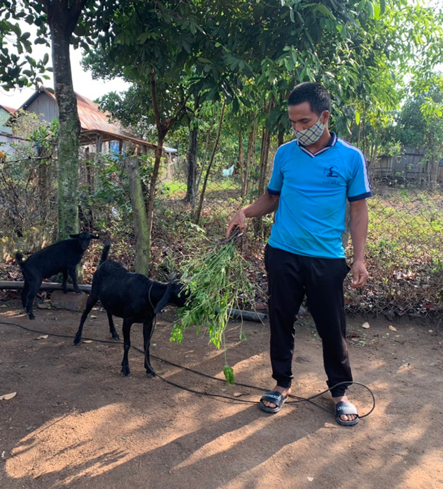 Anh Đinh Ngo (làng Kret Krot, xã Hà Ra) chăm sóc đàn dê của gia đình. Ảnh: H.P Anh Đinh Ngo (làng Kret Krot, xã Hà Ra) chăm sóc đàn dê của gia đình. Ảnh: H.P