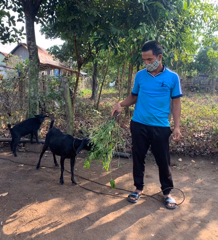Anh Đinh Ngo (làng Kret Krot, xã Hà Ra) chăm sóc đàn dê của gia đình. Ảnh: H.P Anh Đinh Ngo (làng Kret Krot, xã Hà Ra) chăm sóc đàn dê của gia đình. Ảnh: H.P
