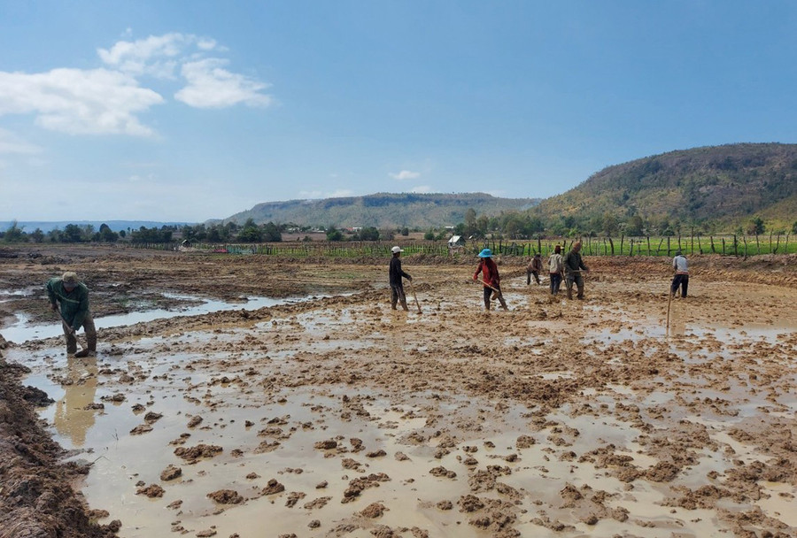 Gia đình anh Đinh Păt đổi công với dân làng để làm đất sau san ủi đồng ruộng và chuẩn bị gieo trồng. Ảnh: Nguyễn Tú