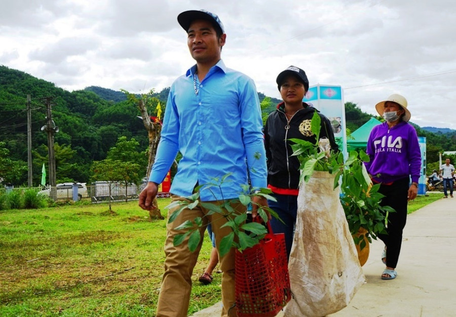 Người dân chuyên trồng sâm ở xã Trà Linh, H.Nam Trà My đưa sâm Ngọc Linh xuống phiên chợ sâm để bán. Ảnh: Mạnh Cường Người dân chuyên trồng sâm ở xã Trà Linh, H.Nam Trà My đưa sâm Ngọc Linh xuống phiên chợ sâm để bán. Ảnh: Mạnh Cường