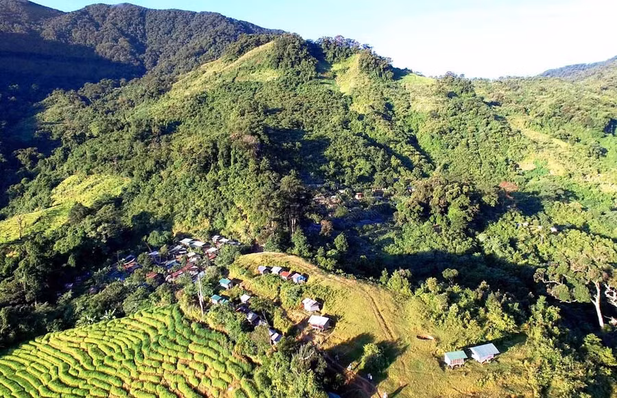 Đỉnh núi Ngọc Linh thuộc địa phận H.Nam Trà My (Quảng Nam) nơi được xem là thủ phủ sâm Ngọc Linh. Ảnh: Mạnh Cường