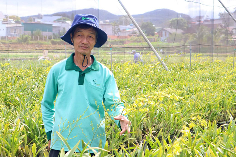 Ông Phạm Ngọc Tính bên vườn lan của mình. Ông Phạm Ngọc Tính bên vườn lan của mình.