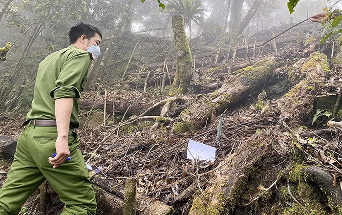 Cán bộ Công an xã Trà Linh tiếp cận hiện trường một vụ mất trộm sâm Ngọc Linh.