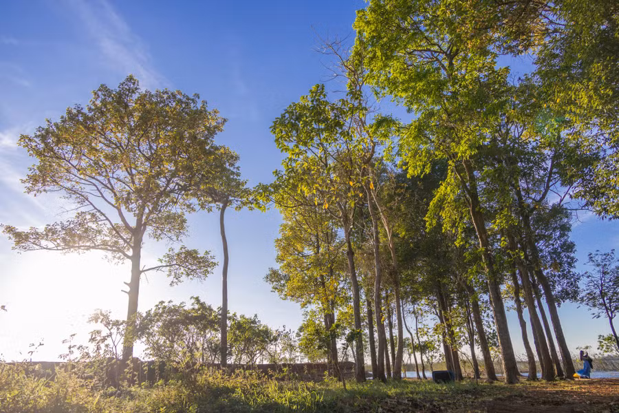 ...con đường ven hồ rợp ánh nắng vàng.