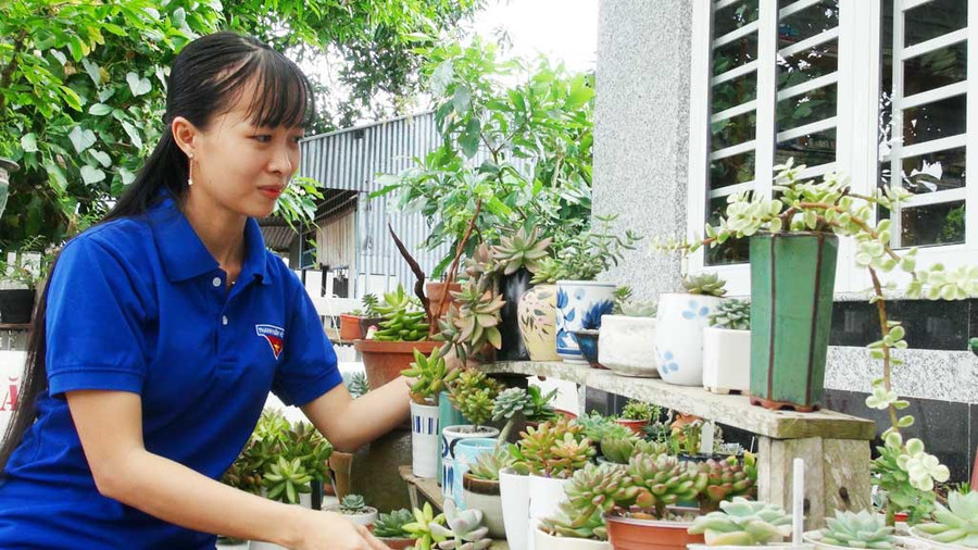 Chị Quỳnh khởi nghiệp thành công với mô hình trồng cây kiểng. Ảnh: Anh Thơ 