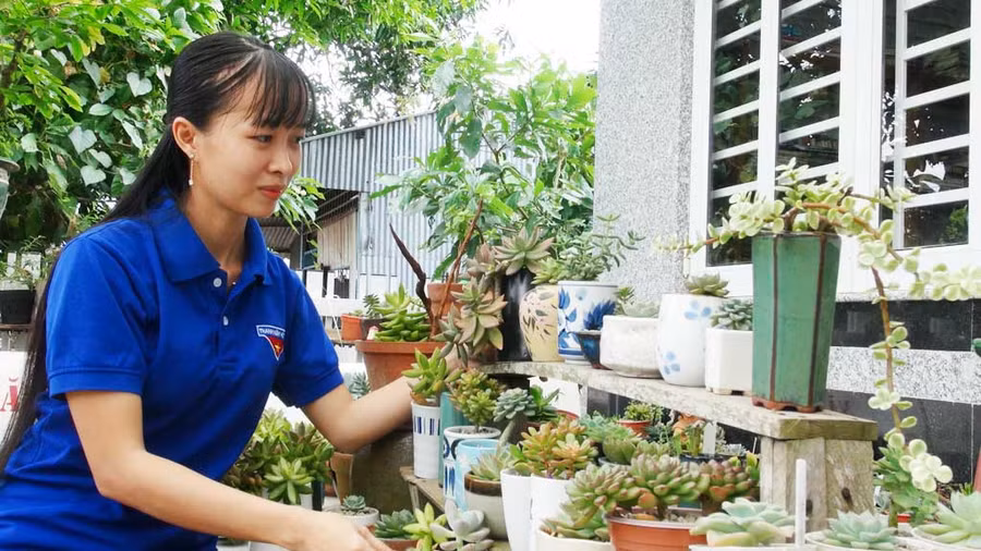 Chị Quỳnh khởi nghiệp thành công với mô hình trồng cây kiểng. Ảnh: Anh Thơ 